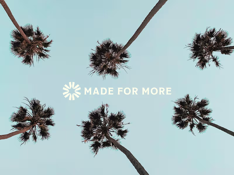 Cover image for Finished the brand guidelines for the Made for More brand ☀️...