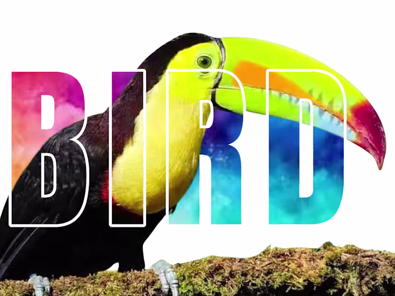 Cover image for Graphic Designer producing Eyecatching and Engaging designs