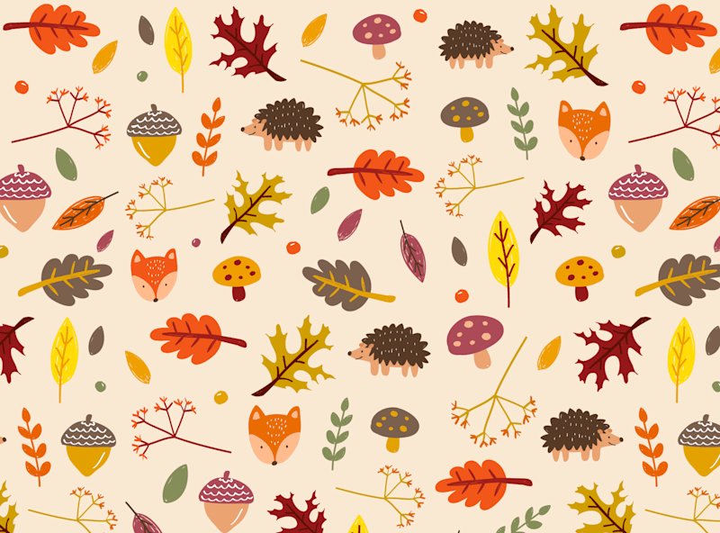 Cover image for Illustrated Patterns