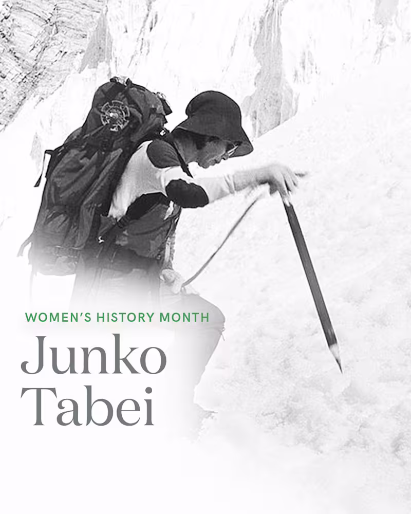 Cover image for Women's History Month Carousel