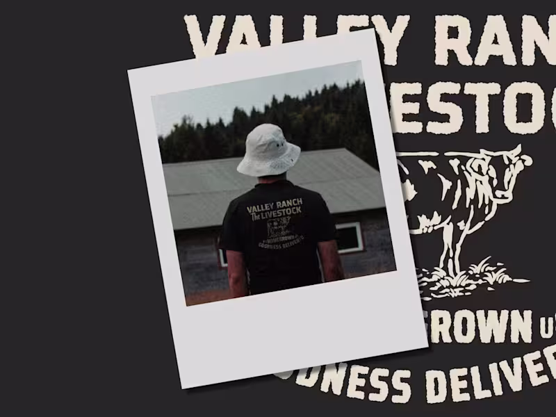 Cover image for Valley Ranch Logo Brand Design Work