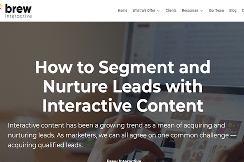 Cover image for How to Segment and Nurture Leads with Interactive Content