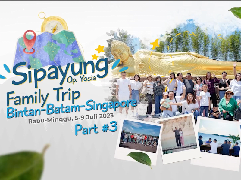 Cover image for Family Trip Video