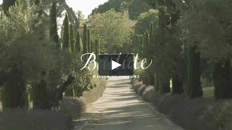 Cover image for Bastide Commercial