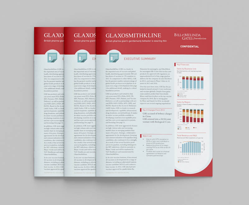 Cover image for Gates Foundation Report