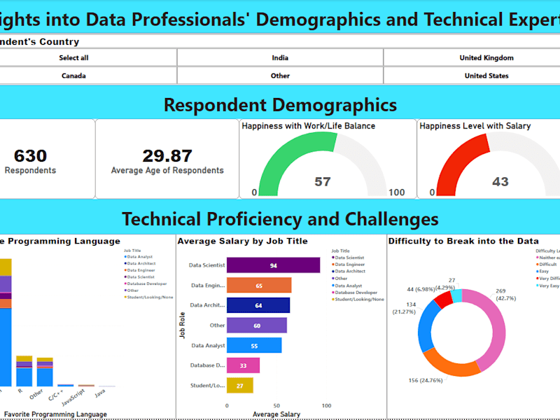 Cover image for Insights-into-the-Data-Professionals-Demographical-and-Expertis…