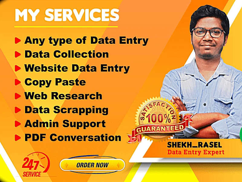 Cover image for I will work do data entry and translation.
