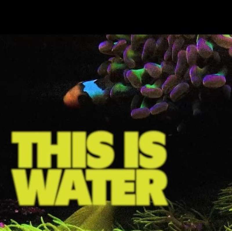 Cover image for This is water