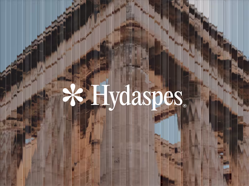 Cover image for Brand Identity Creation for Hydaspes