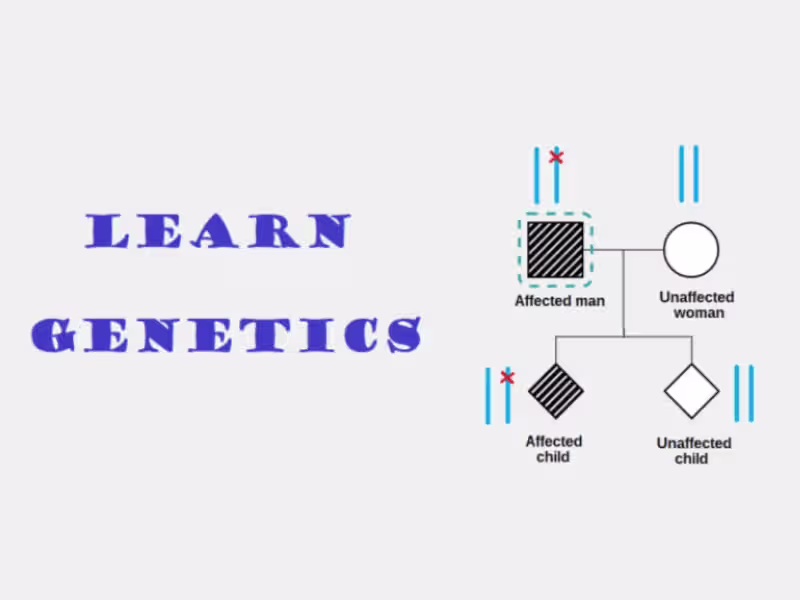 Cover image for Genetics lessons