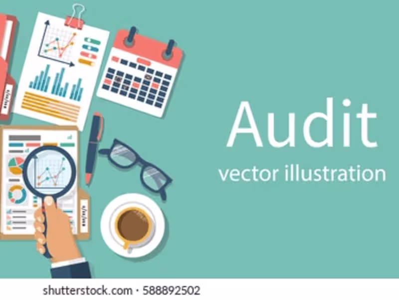 Cover image for Annual Audit 