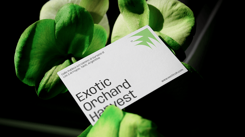 Cover image for Exotic Orchard Harvest™