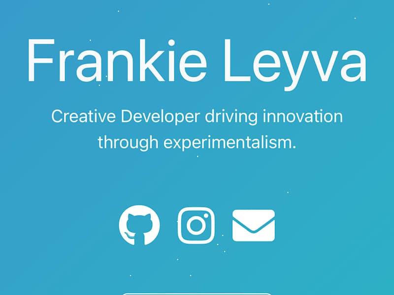Cover image for Developer Portfolio