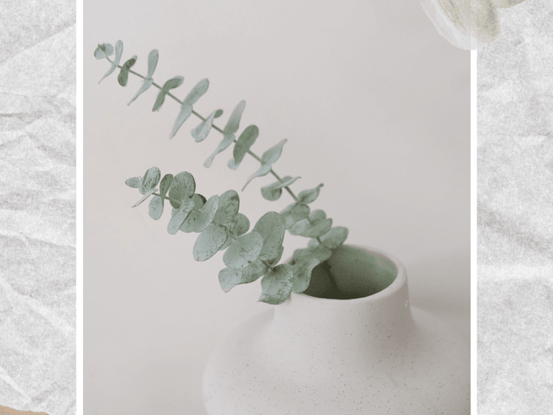 Cover image for Picture Perfect: Freelance Photo Editing for Stunning Visuals