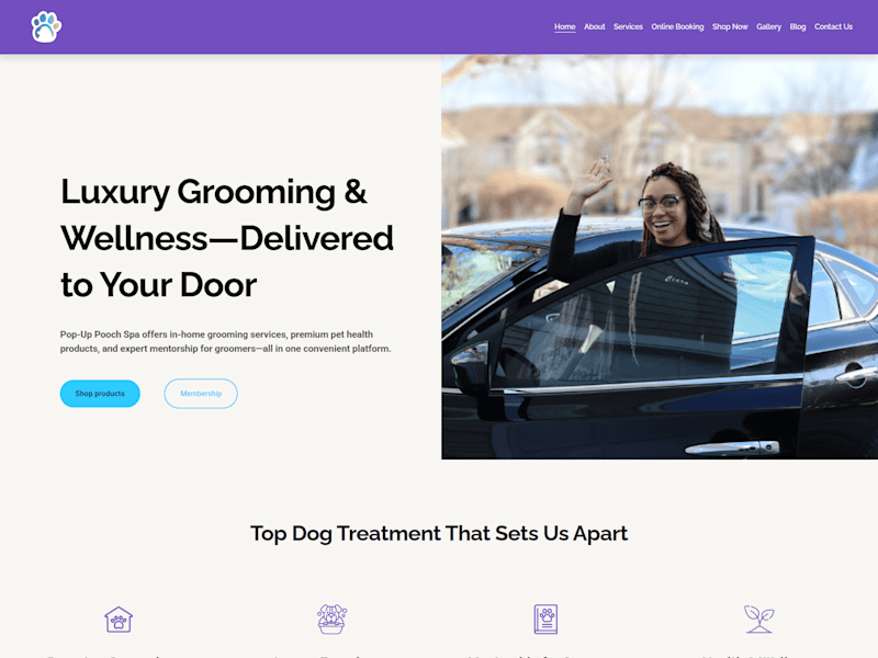Cover image for Pop-Up Pooch Spa’s 100% Traffic Surge