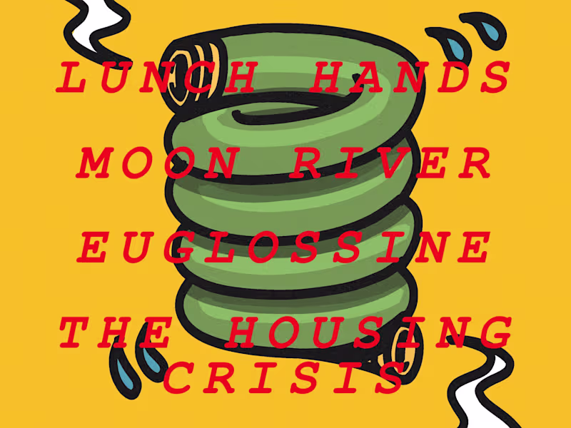 Cover image for Show Poster for How Bazar