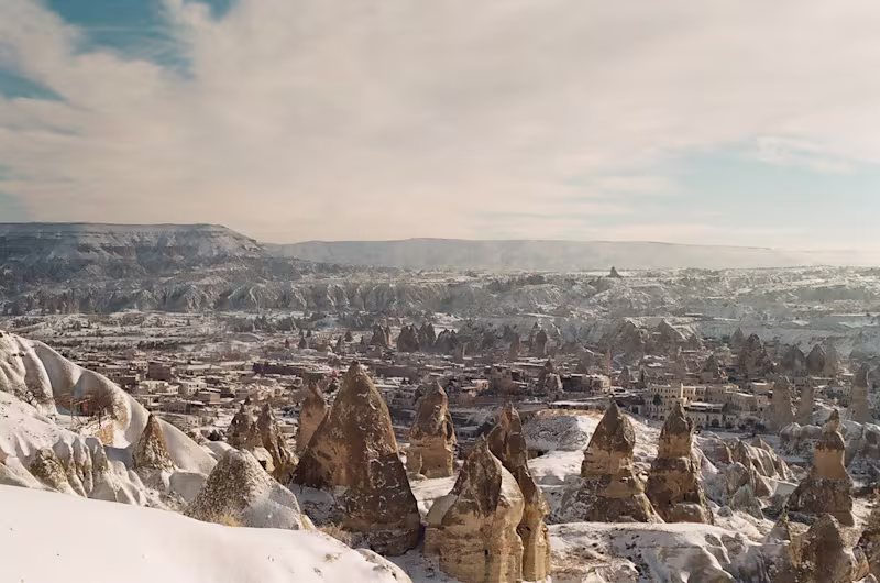 Cover image for A catalogue of my 35mm shots