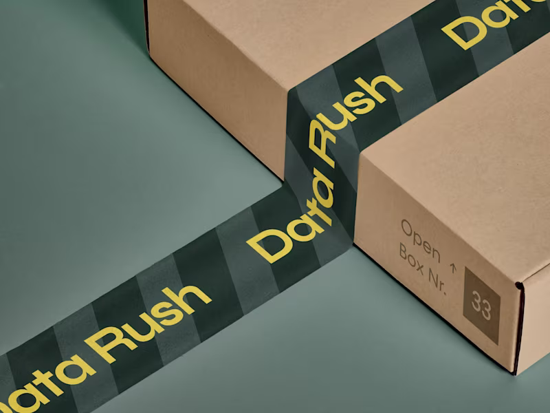 Cover image for Data Rush