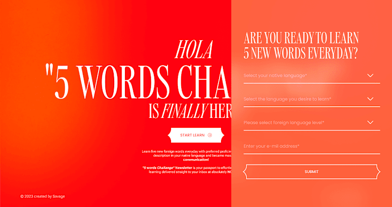 Cover image for "5 words challange" 