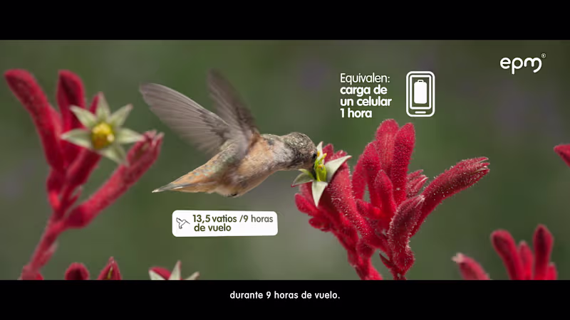 Cover image for EPM (Hidroituango) - Santander - Nature 