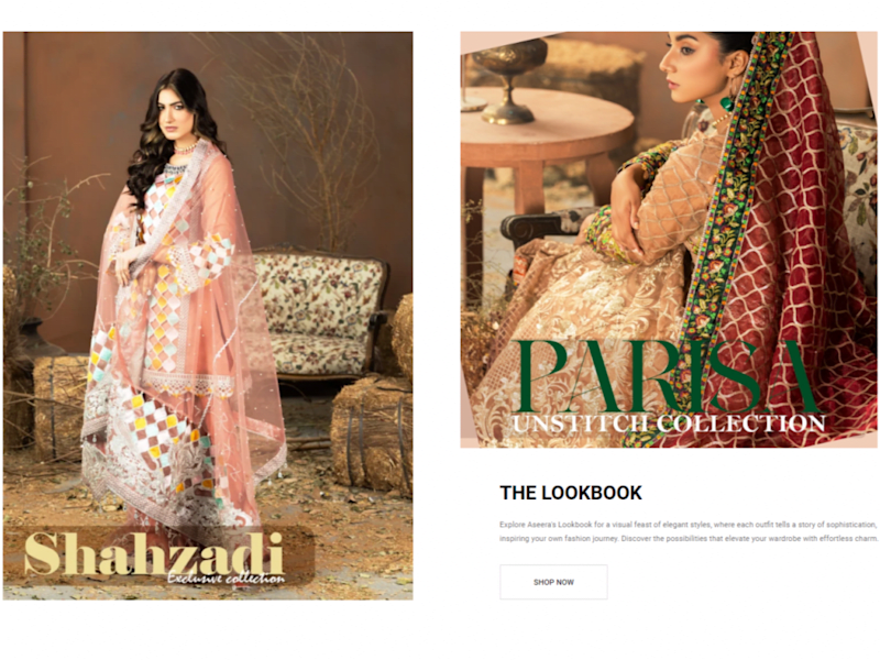 Cover image for Female Clothing Store