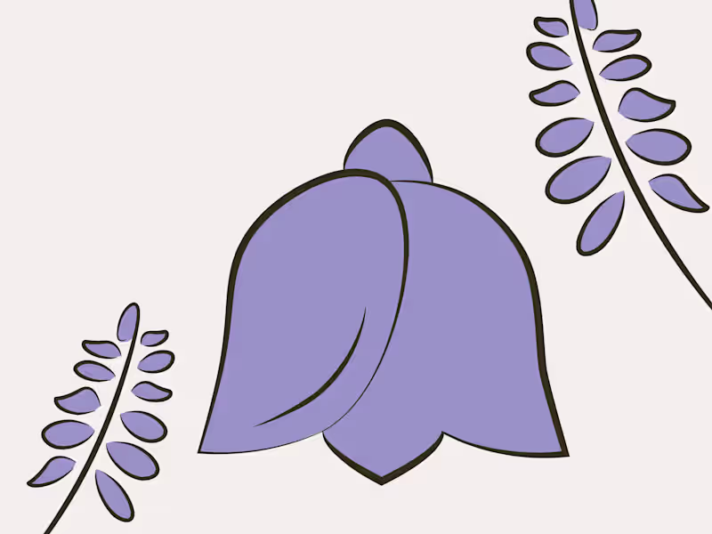 Cover image for My Portfolio Site