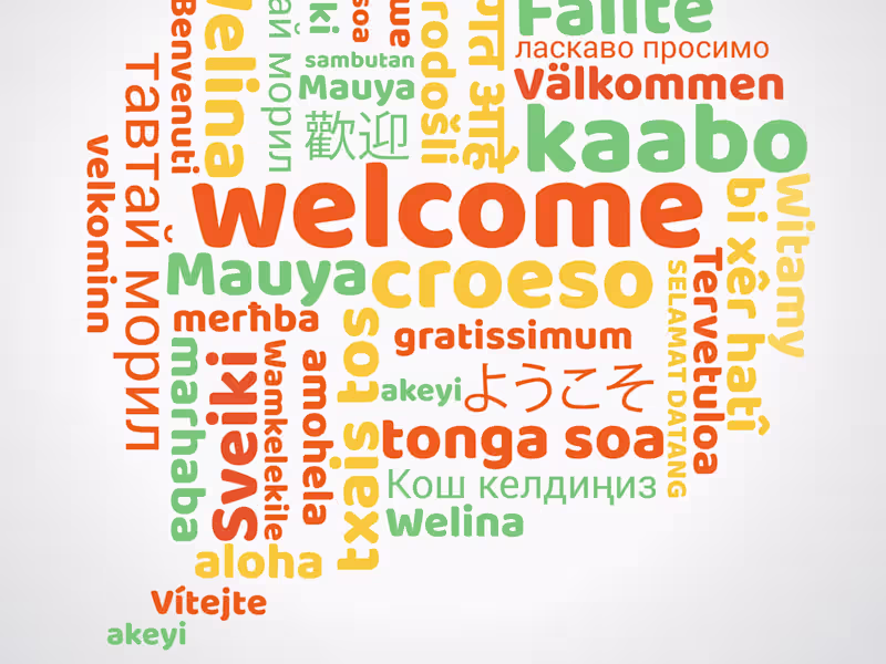 Cover image for Professional Arabic, English, and French Translation