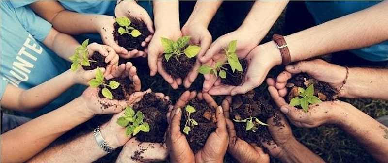 Cover image for Inspiring Millennials Through Sustainability