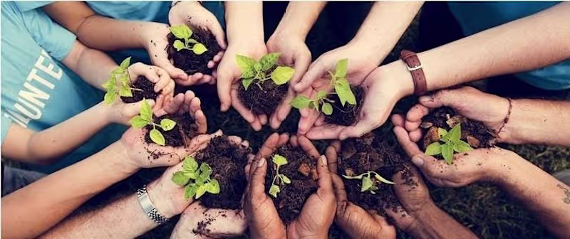 Cover image for Inspiring Millennials Through Sustainability