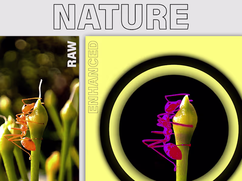 Cover image for CINEMATIC PHOTO EDITING : Expert Editing and Retouching