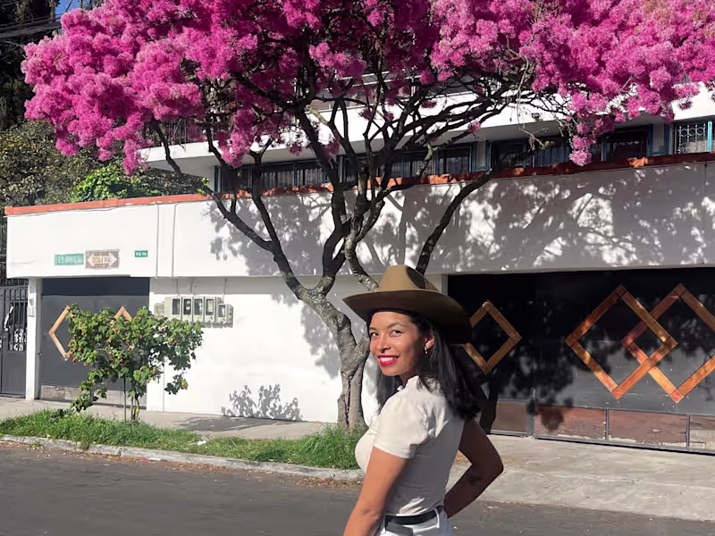 Cover image for Brand Partnerships / Ambassador Collabs