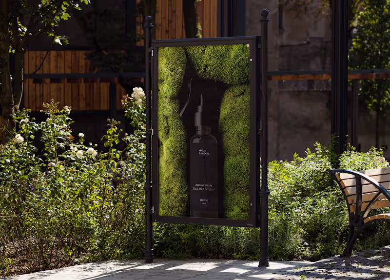 Cover image for Haus & Home | Brand Strategy & Visual identity