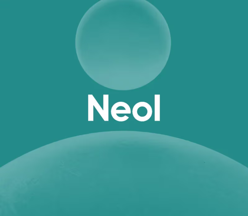 Cover image for Software Developer