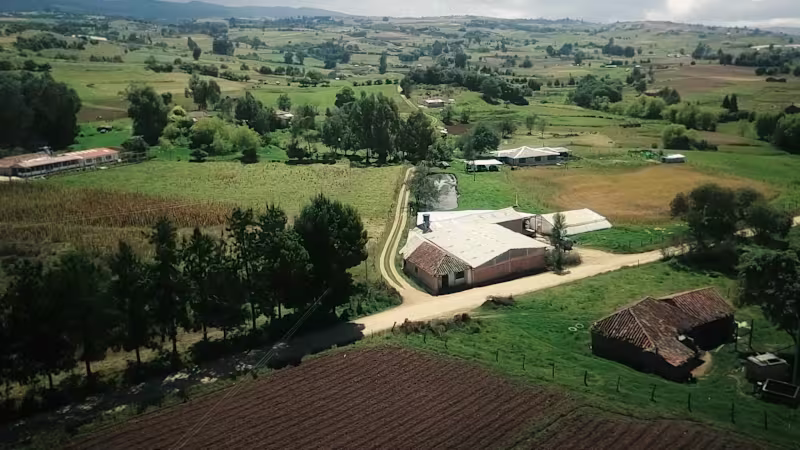 Cover image for CAFÉ SELLO ROJO - Ginna Jiménez