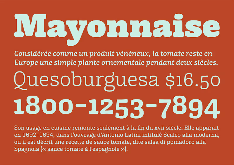 Cover image for Typefaces