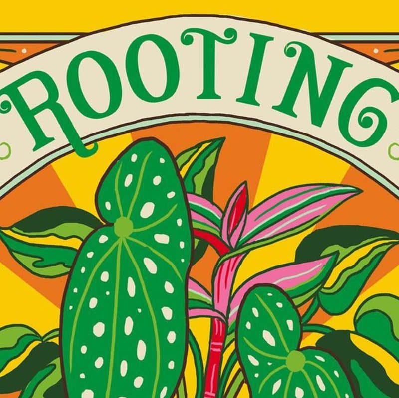 Cover image for Rooting For You / Illustration and Lettering