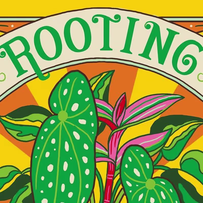 Cover image for Rooting For You / Illustration and Lettering