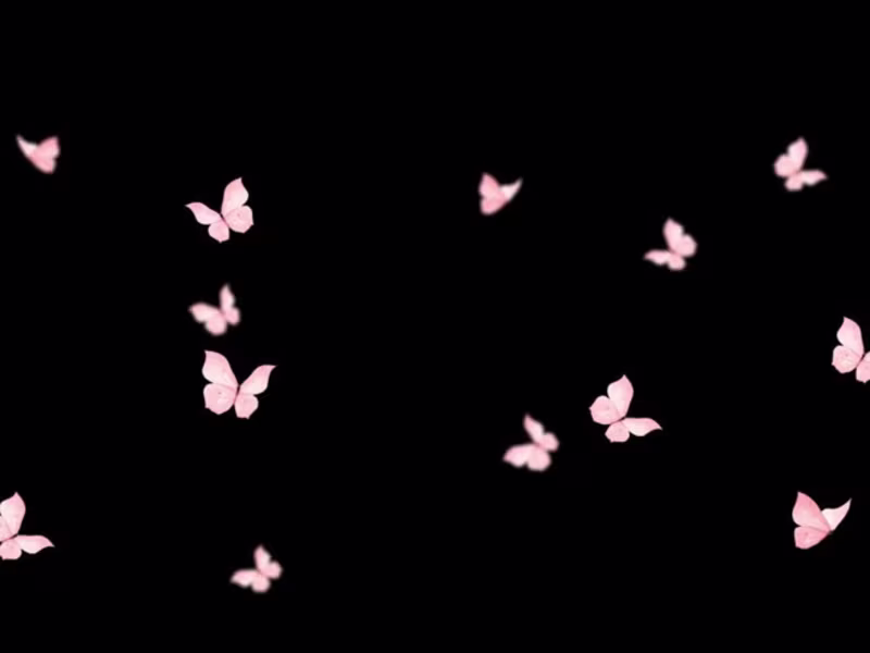 Cover image for I will design modern social media posts and brand graphics