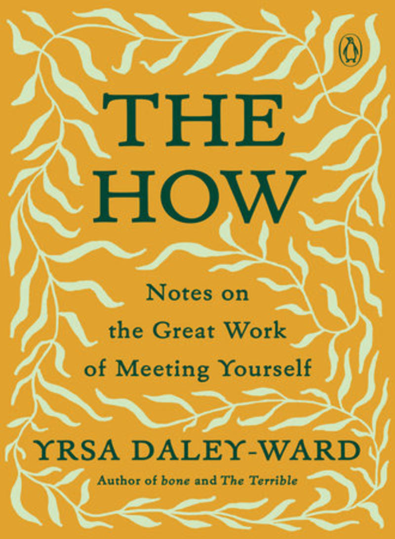 Cover image for The How (Penguin Books)