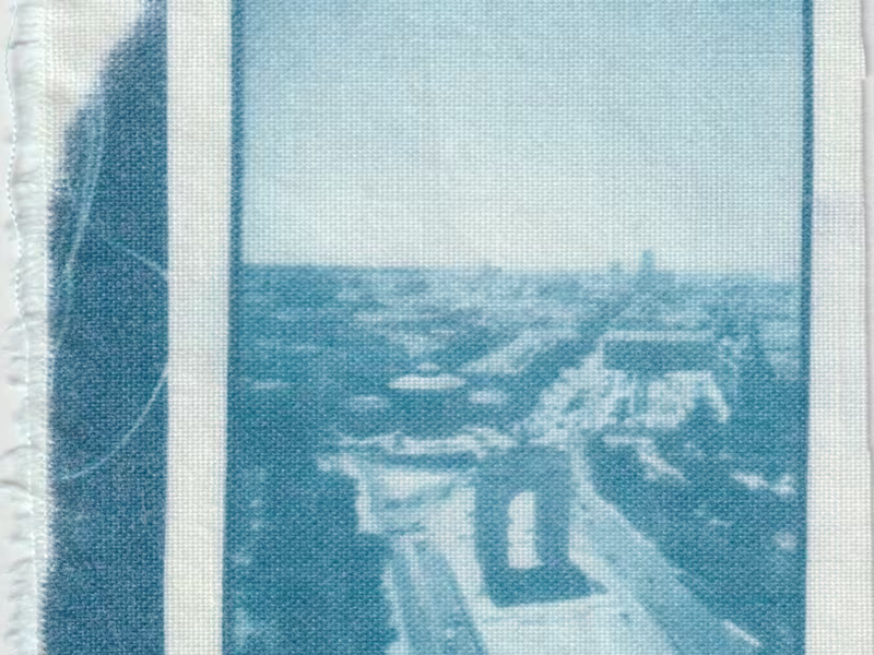 Cover image for Cyanotype Printing (Alternative Process+High-Res Digital Scans)