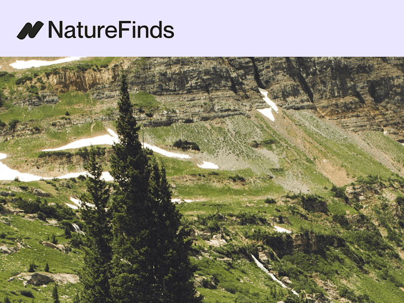 Cover image for NatureFinds