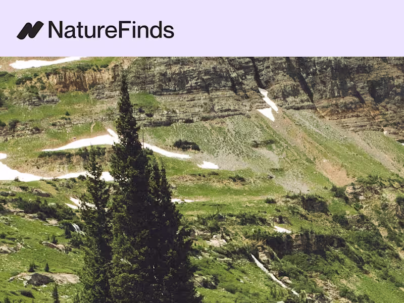 Cover image for NatureFinds