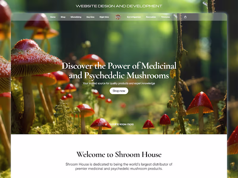 Cover image for Responsive Web Design