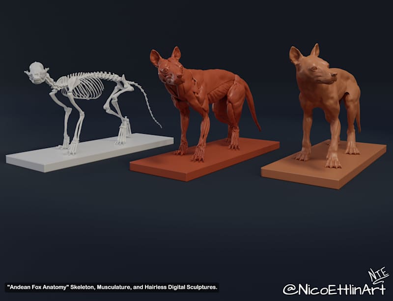Cover image for 3D Sculptures Portfolio