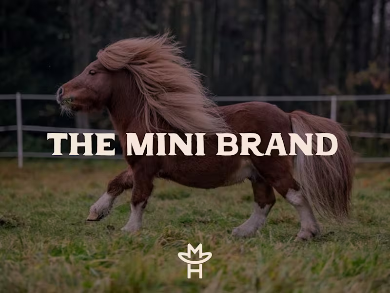 Cover image for The Mini Brand!