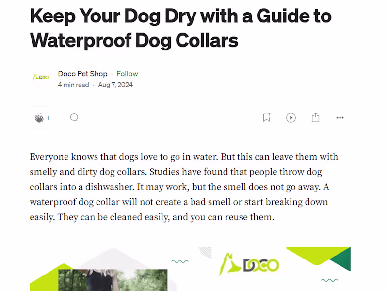 Cover image for Keep Your Dog Dry with a Guide to Waterproof Dog Collars