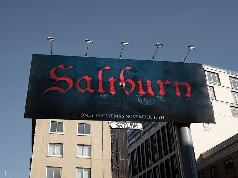Cover image for SALTBURN