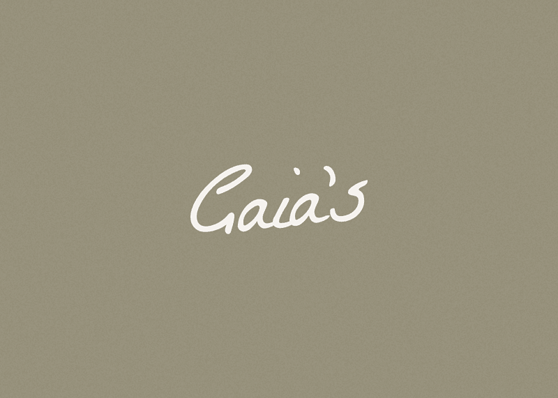 Cover image for Gaia's Pottery Studio | Visual Identity Design | Bud to Bloom