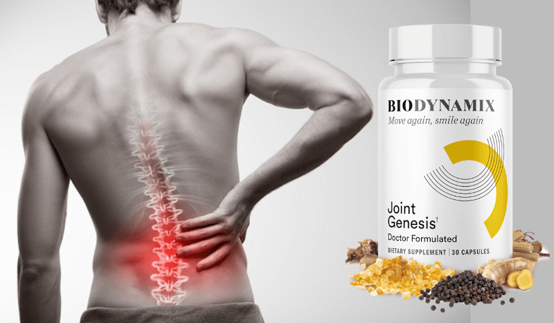 Cover image for Joint Genesis (Serious WARNING!!) EXPERT CHECK!