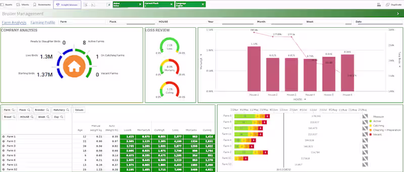 Cover image for Broiler Management Dashboard Development